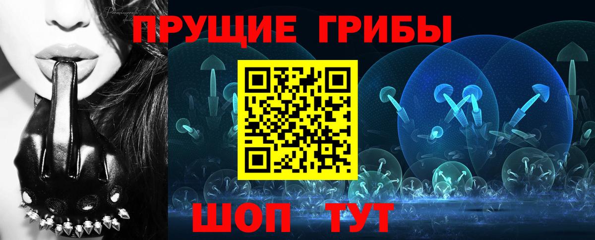 Галлюциногенные грибы GOLDEN TEACHER  Галлюциногенные грибы GOLDEN TEACHER  Вход с VPN  Медногорск 